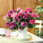 Blumendeko