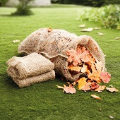 Gartenarbeit