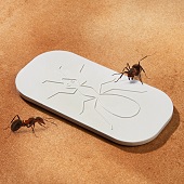Insektenschutz