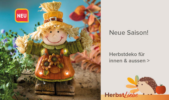 Herbstdeko für innen & aussen