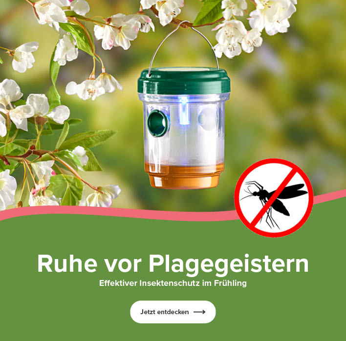 Ruhe vor Plagegeistern