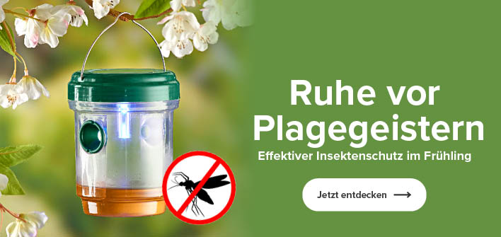 Ruhe vor Plagegeistern
