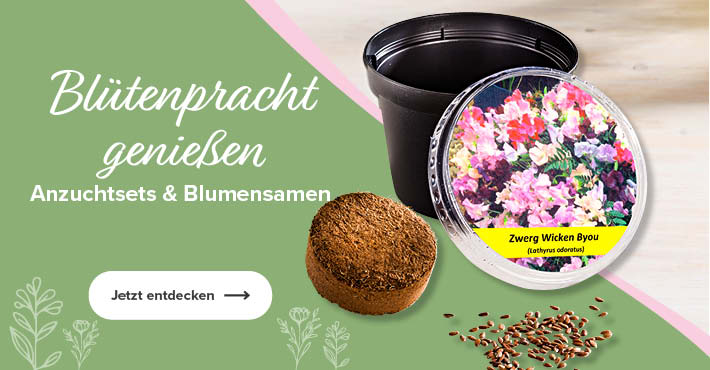 Anzuchtset & Blumensamen