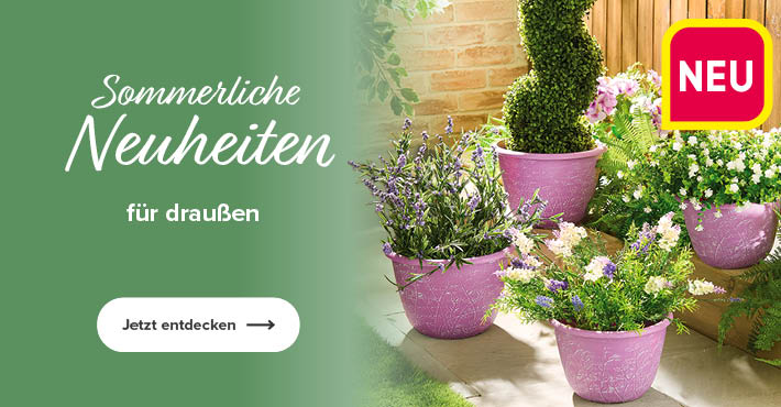 Exklusive Neuheiten