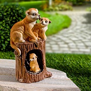 Erdmännchen Solar