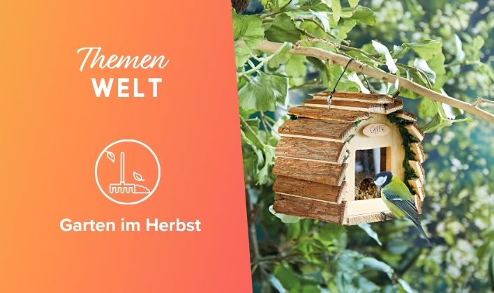 Themen Welt: Garten im Herbst