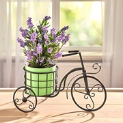 Zauber der Provence