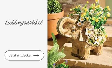 Inspirationskategorie Lieblingsartikel